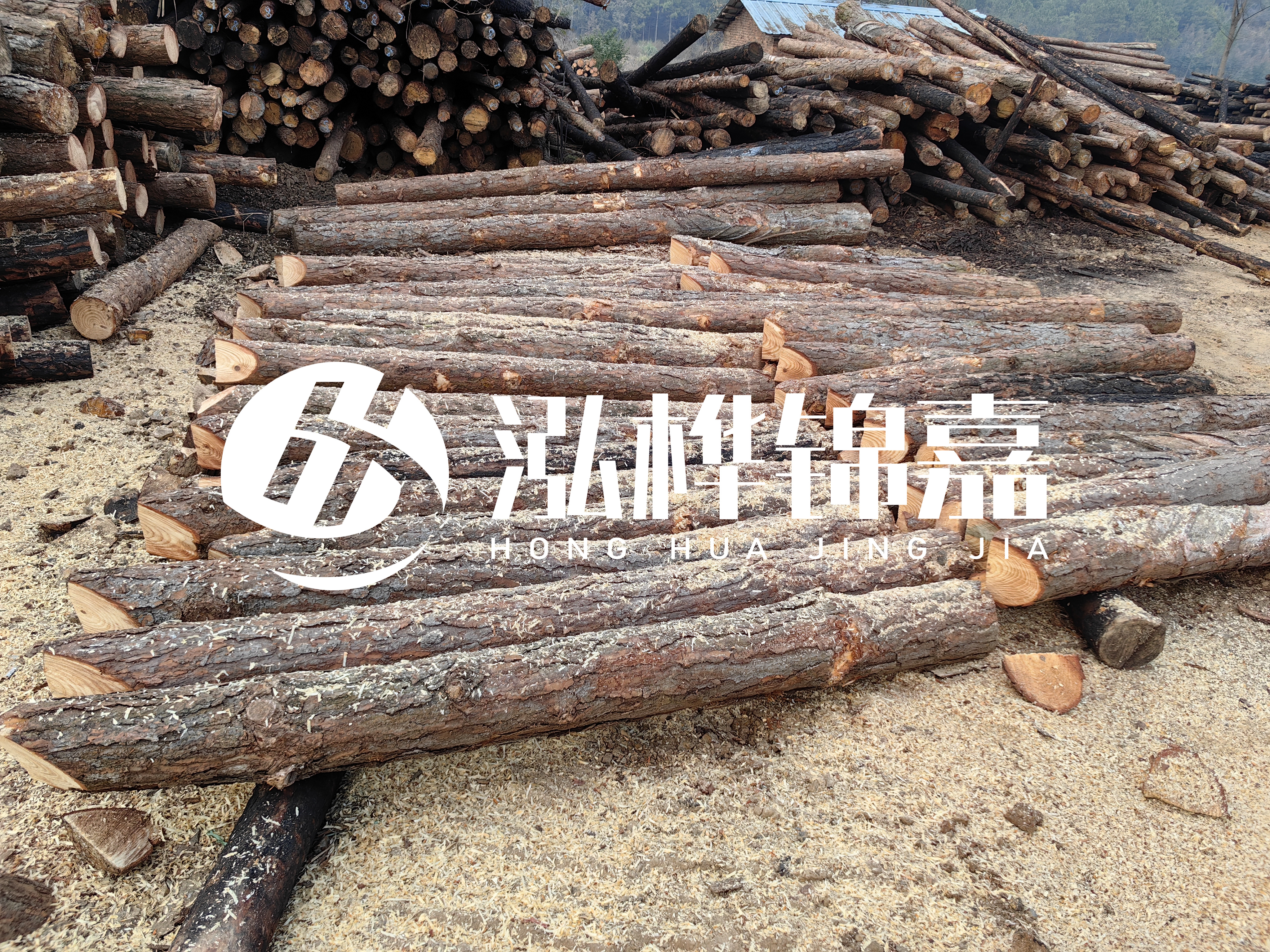 河道打樁木重復(fù)利用嗎？