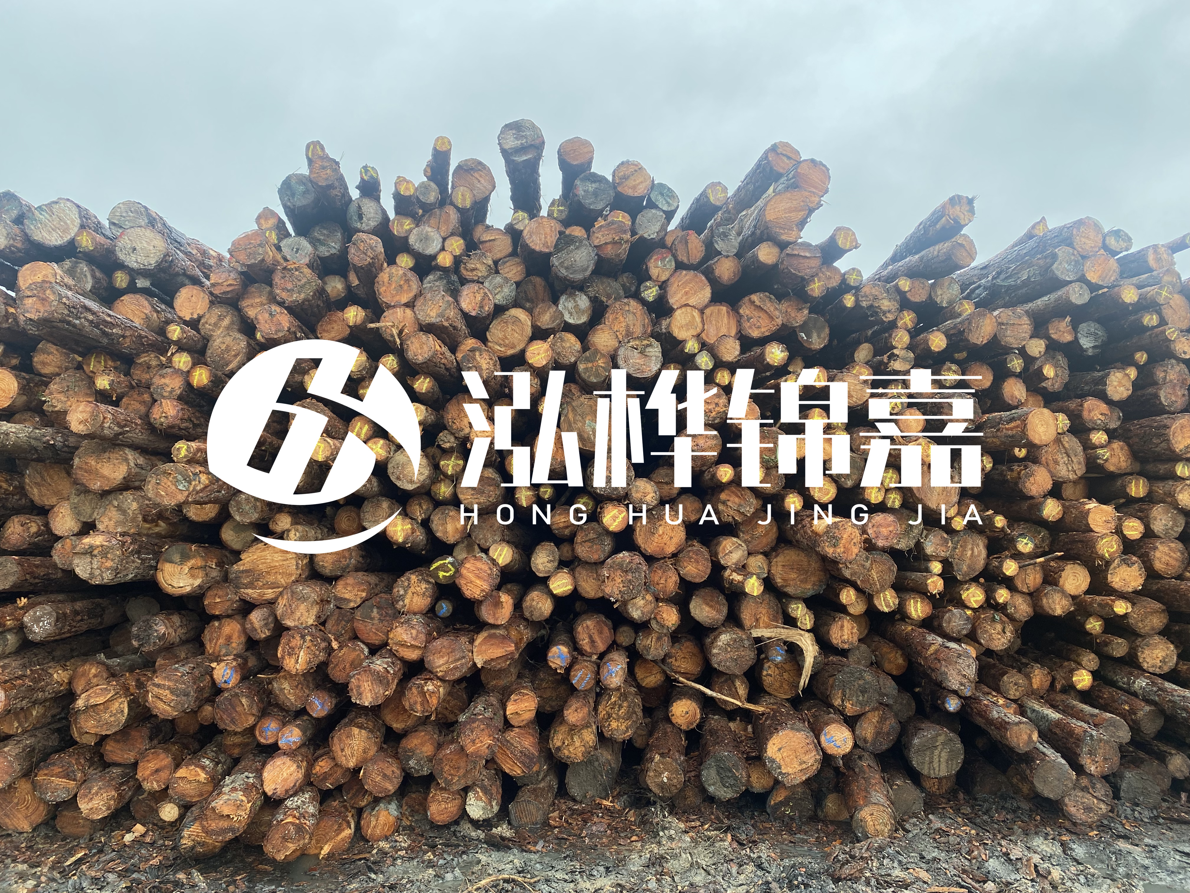 松木樁的直徑一般取多少？
