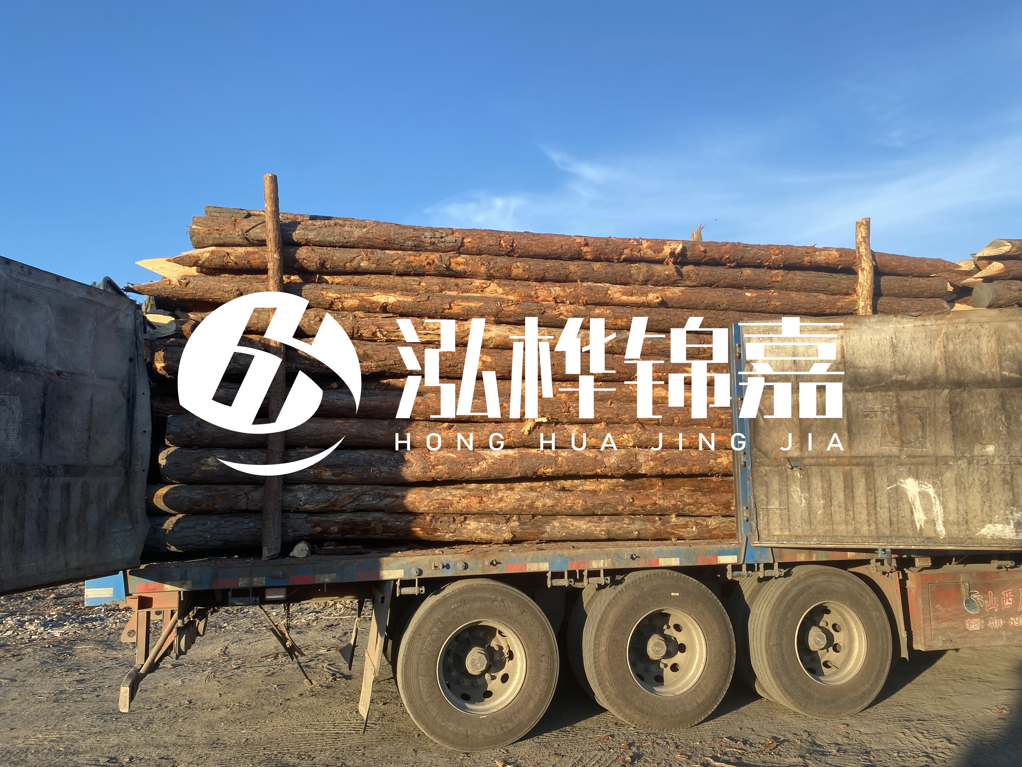 河道治理為什么要用松木樁？