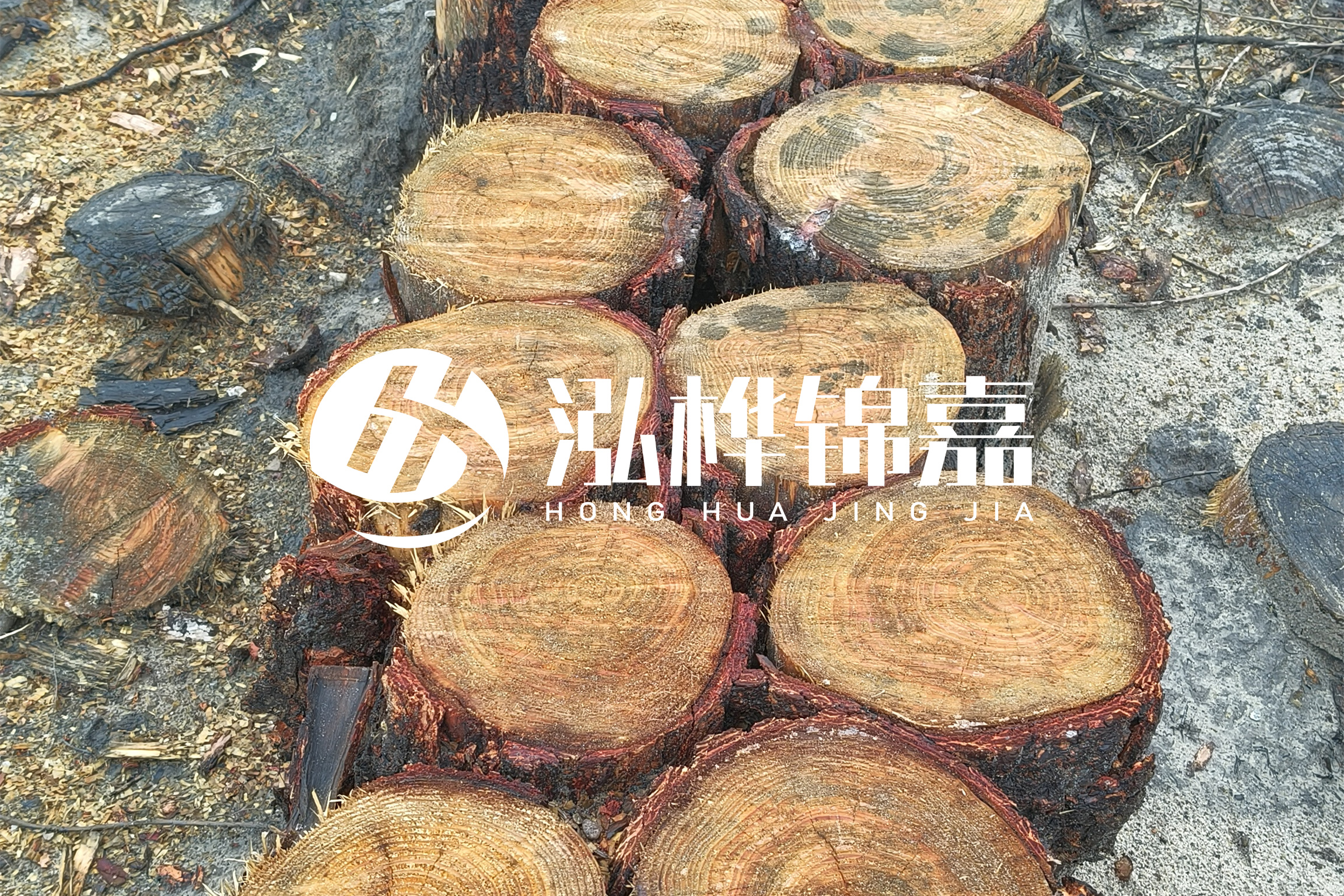 浙江臺州有清淤的公司嗎？浙江臺州有清淤施工隊嗎？