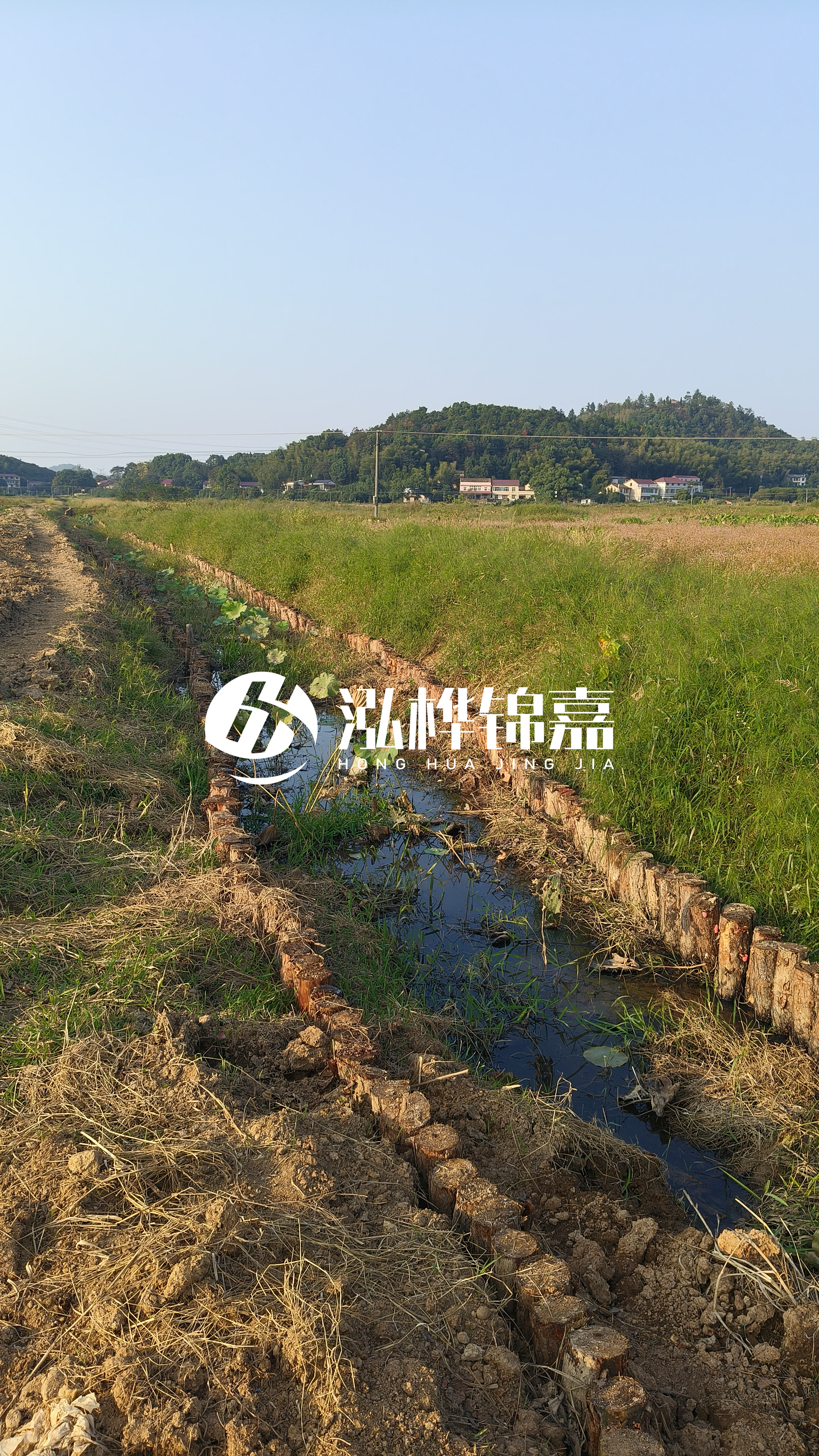 河道護(hù)坡打木樁的目的全解析：你知道幾個？