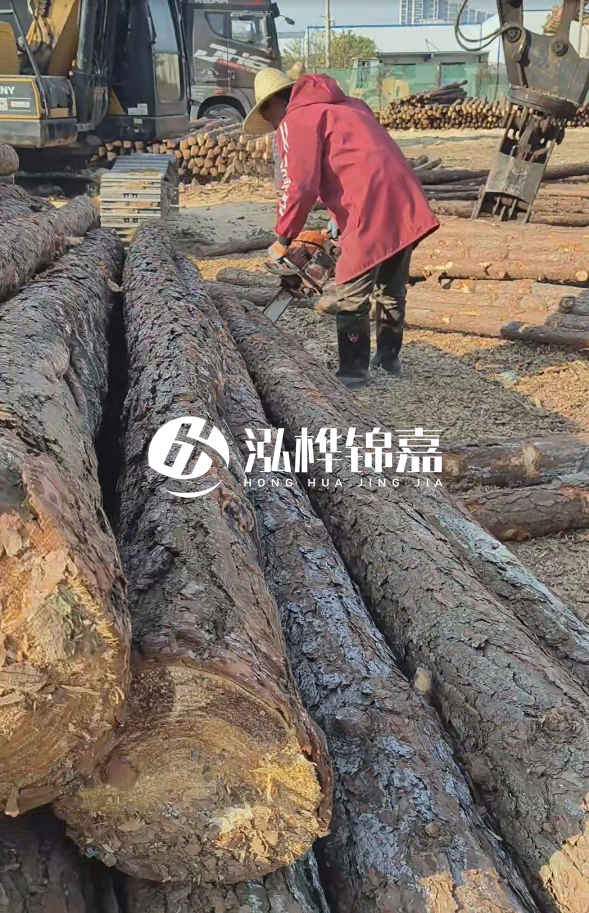 長(zhǎng)沙打樁木批發(fā)廠家在哪里？聯(lián)系方式是什么？