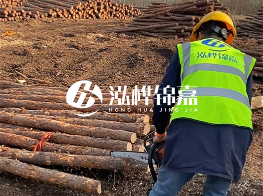 哪些木樁廠家能提供快速定制服務？哪些木樁廠家在國內(nèi)有多個生產(chǎn)基地？