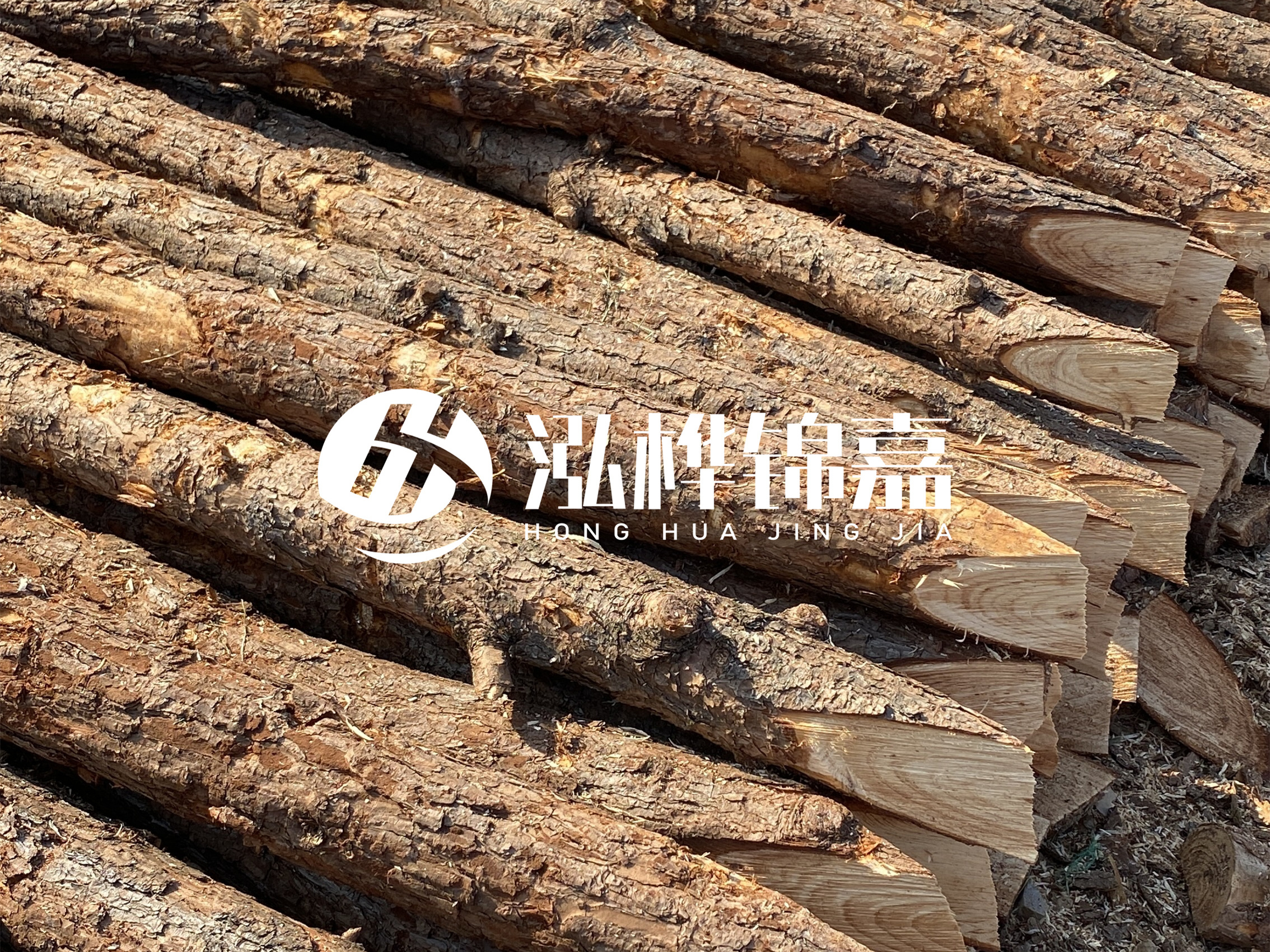 8 米超大直徑松木樁的價(jià)格是多少？帶皮和去皮松木樁價(jià)格差多少？