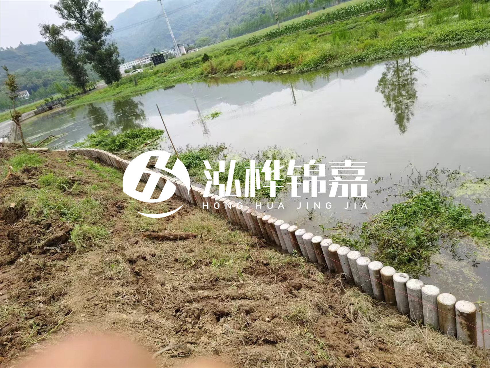 松木樁加固河道與水泥樁對(duì)比如何？哪一種更加適合您？