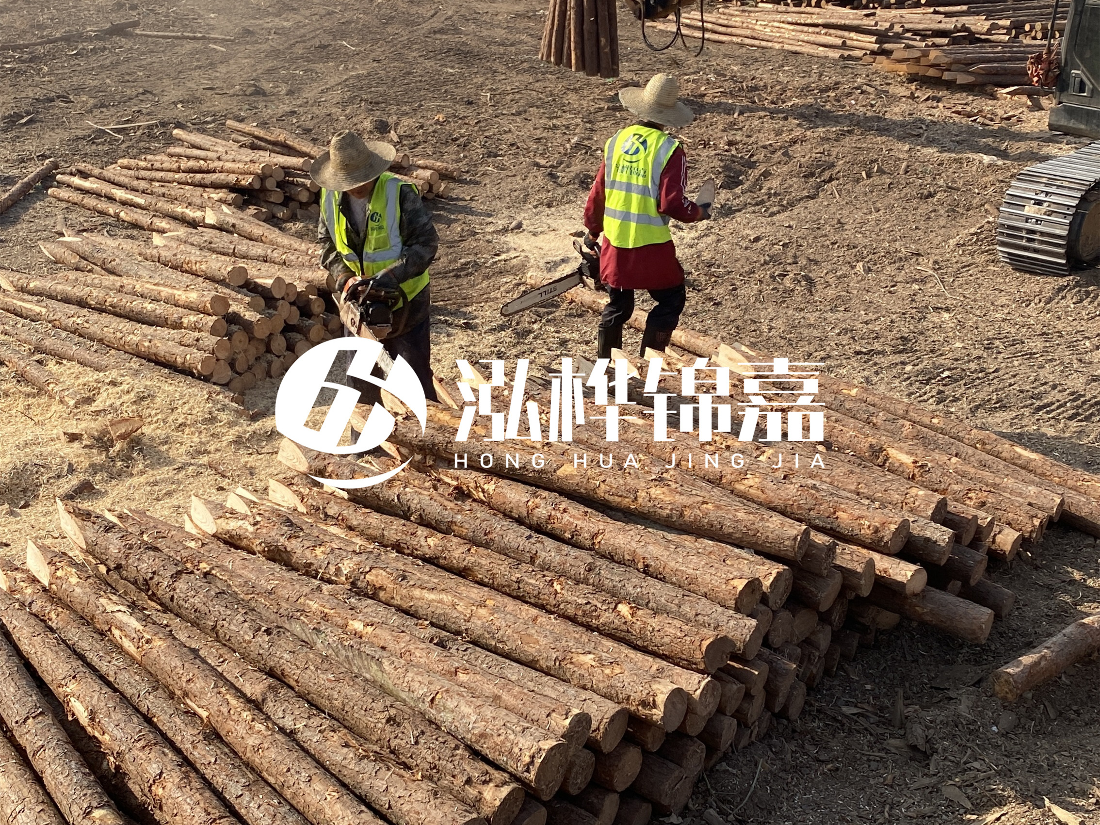 河道木樁報(bào)價(jià)在汛期前后會(huì)有波動(dòng)嗎？什么時(shí)候買最便宜？