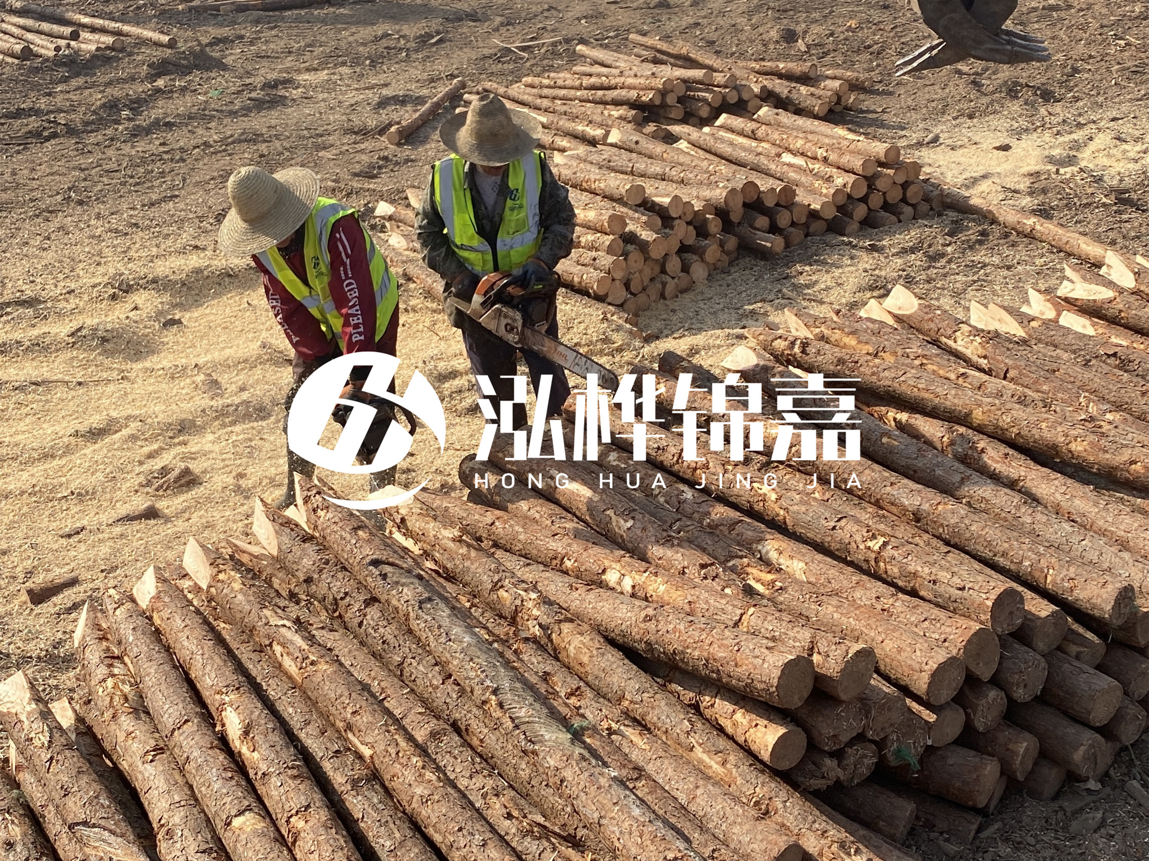 河北打樁木廠家主要生產(chǎn)哪些材質(zhì)的打樁木？產(chǎn)品有哪些規(guī)格？