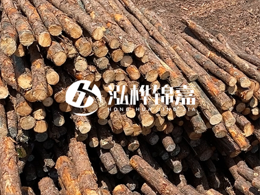 江西有哪些松木樁生產(chǎn)廠家？松木樁廠在什么位置？