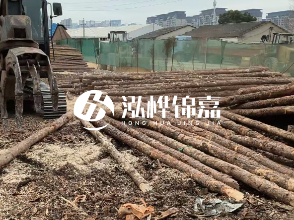 2 米長(zhǎng)度松木樁多少錢？松木樁 10 一 15 公分價(jià)格？