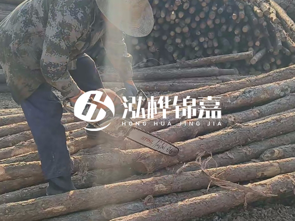 廣東打樁木源頭廠家泓樺錦嘉 - 如何選擇適合特定邊坡的松木樁？