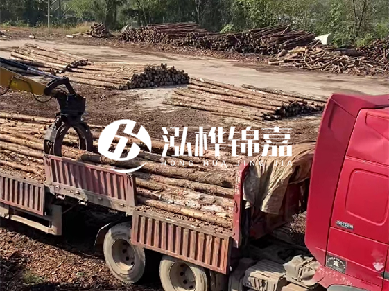 四川松木樁廠家泓樺錦嘉-哪一種打樁木最便宜？