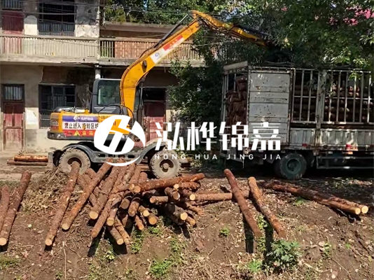 怎么把松木樁打到土里？松木樁要打進去多深？