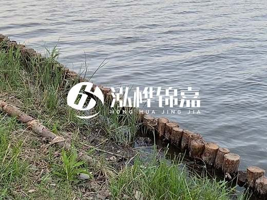 防洪松木樁施工重要性？河道打木樁的位置怎么確定？