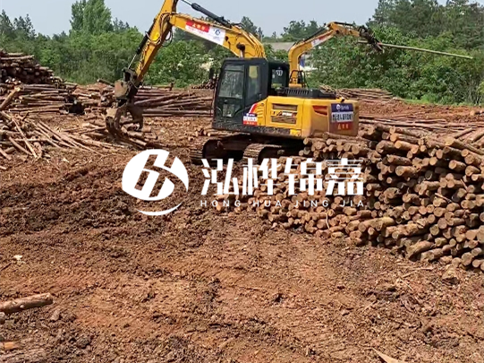 河道松木樁廠家聯(lián)系方式-6米10-15公分價格是多少？