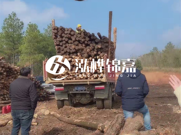 松木樁廠家泓樺錦嘉-存放超過(guò)半年的原木松木樁還能用嗎？