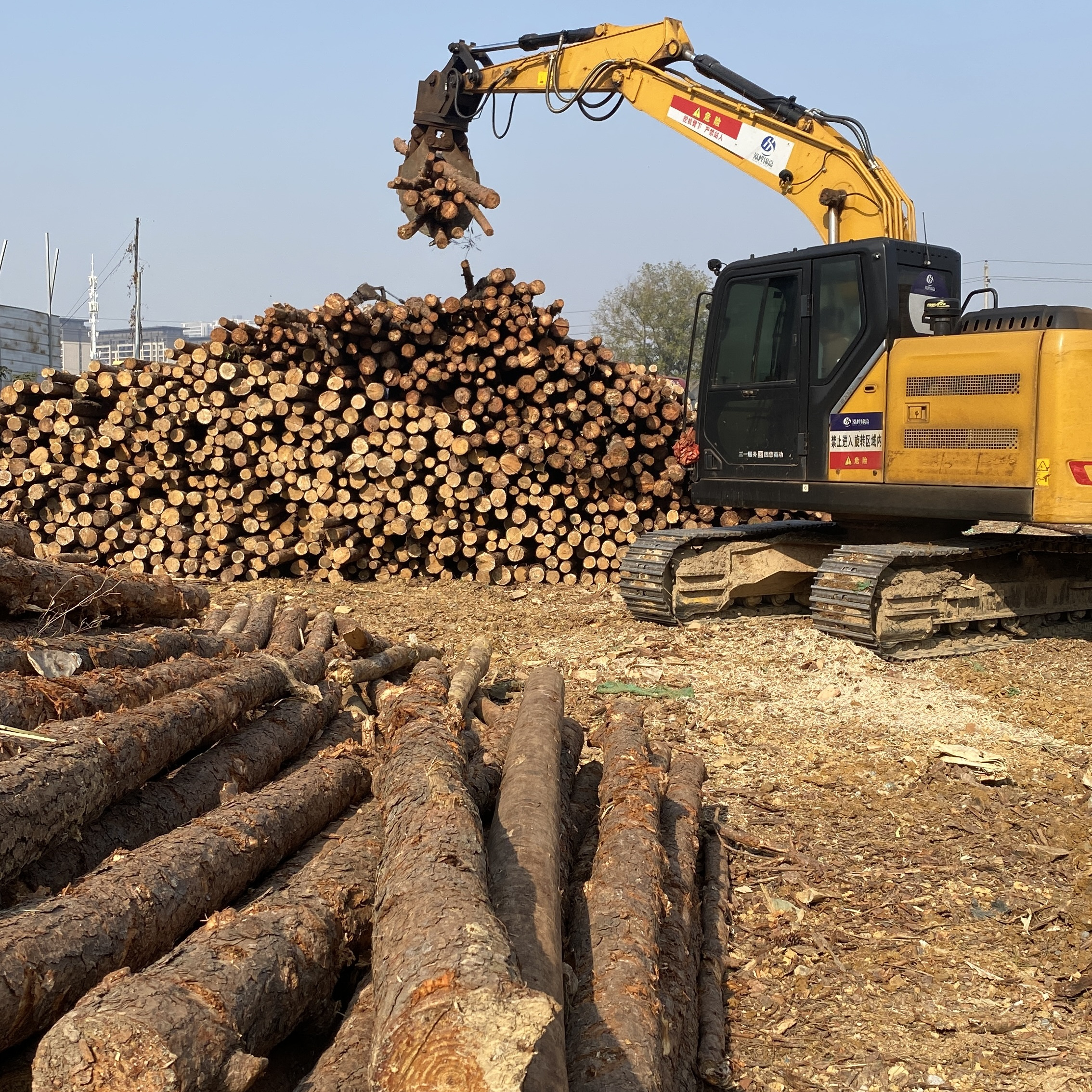 松木樁廠家泓樺錦嘉-濕地松原木的價格大概是多少？