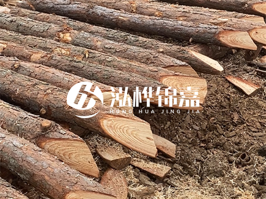 松木樁廠家泓樺錦嘉-河道兩邊打樁是干嘛的？