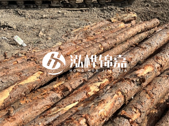 松木樁廠家泓樺錦嘉-原木松木樁的材質(zhì)是落葉松還是濕地松好？