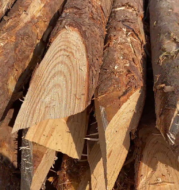 松木樁施工隊泓樺錦嘉 - 原木松木樁的最低起訂量是多少？