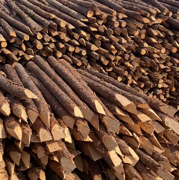 松木樁施工隊泓樺錦嘉 - 河道駁岸樁的檢測標(biāo)準(zhǔn)是什么？