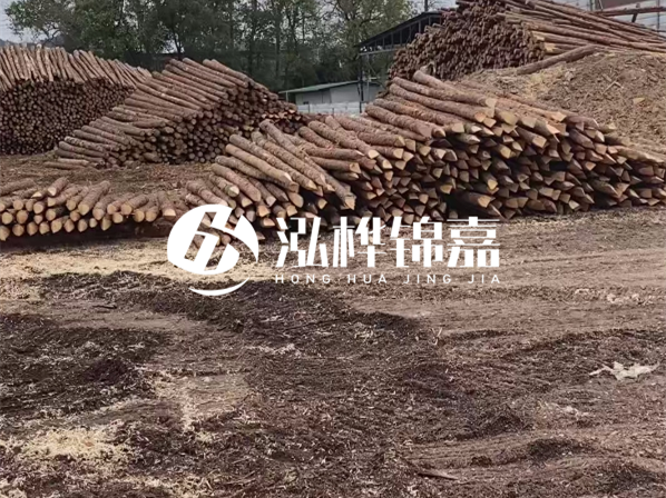 松木樁施工隊泓樺錦嘉-河道駁岸樁選擇松木還是水泥材質(zhì)更合適？