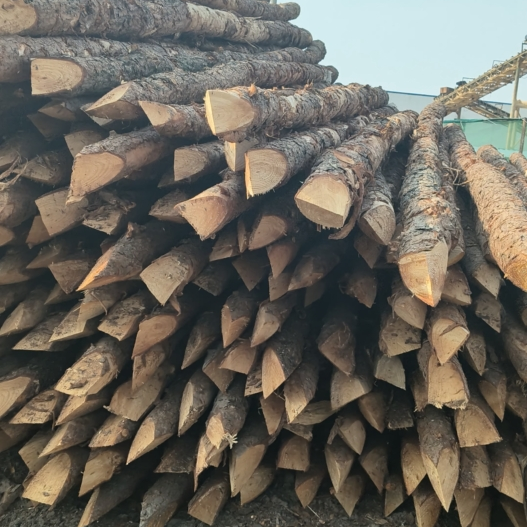 松木樁施工隊泓樺錦嘉 - 河道改造用什么規(guī)格的打樁木？