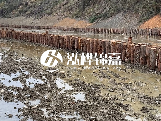 松木樁施工隊泓樺錦嘉 - 河道打松木樁施工流程？