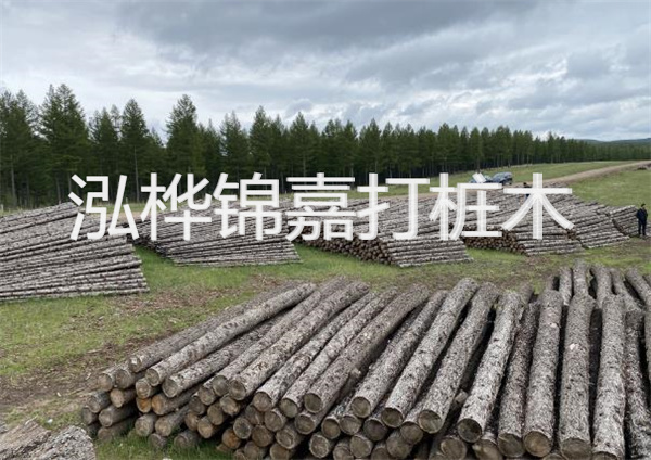 鋼結(jié)構(gòu)施工方案大全免費提供，助力工程建設(shè)
