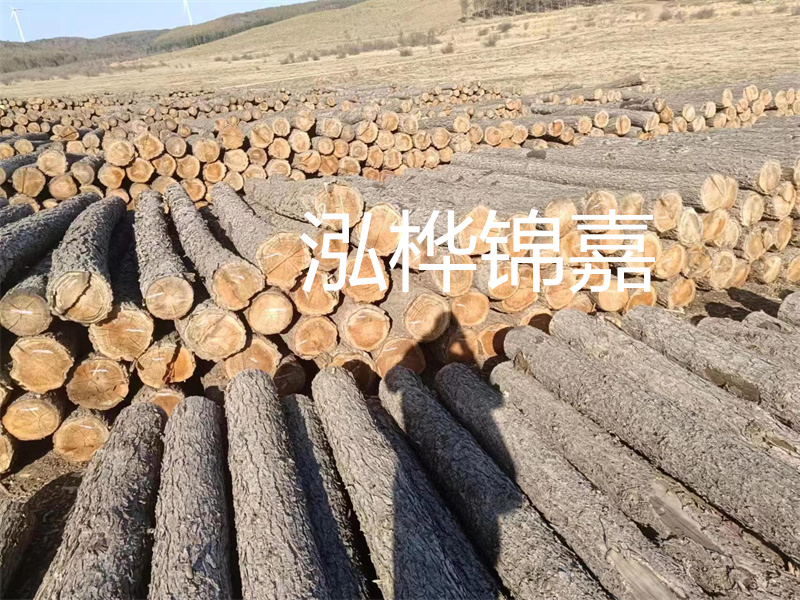 選擇合適的路緣石尺寸，打造美麗道路